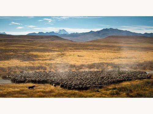 Alpine Suites On Tekapo Luxury B&B