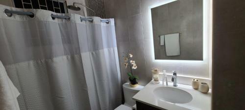 Cozy 1 Bedroom Studio Apartment Centrally Located
