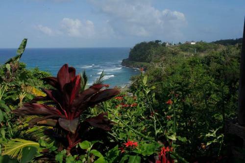 Apartamento I View - Top Ocean View