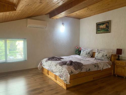 Hostal ???? ?? ????? '' ??????? ''