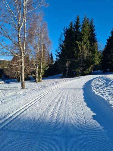 Apartm�n Benecko Bellevue