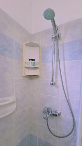 Stay Camelia Apartment