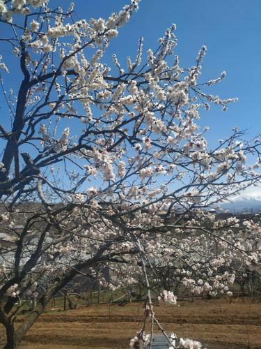 Hostal Ghazaryan Guest House