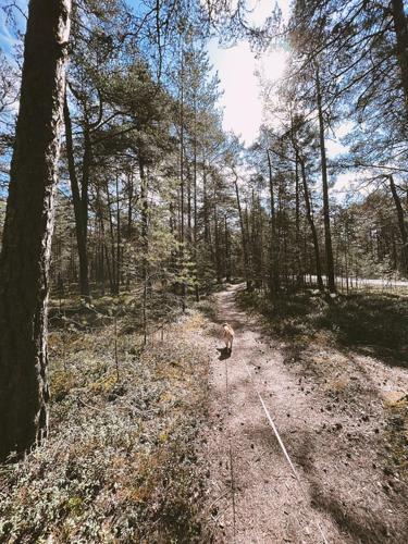 Puhkusemaja Laulasmaal