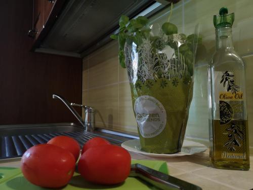 Apartamento Vacation House Calluna