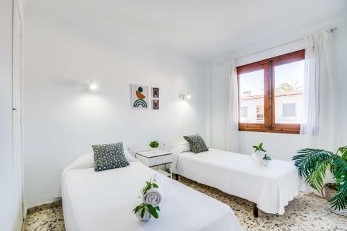Casa Pinar