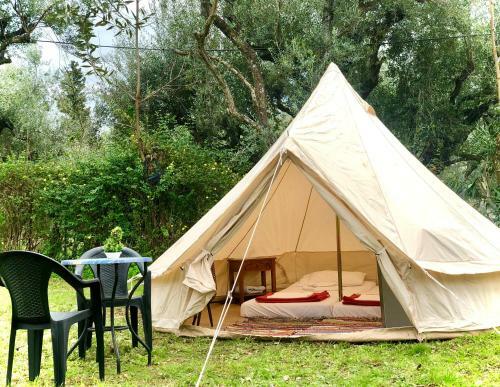 Camping Golden Sunset