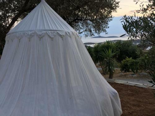 Villa Andros Eco Lodge