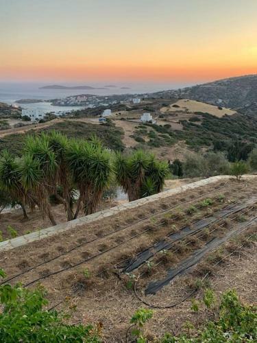 Villa Andros Eco Lodge