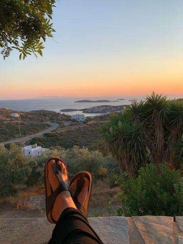 Villa Andros Eco Lodge