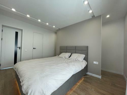 Exclusive Villa Hi Tech Style Premium