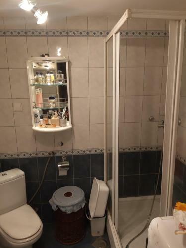 Apartman Zevs
