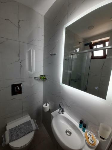 Sunyard Apartments & Studios