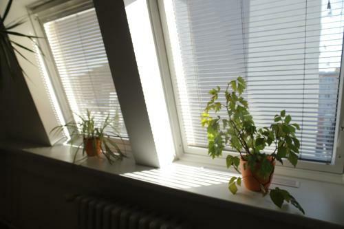 Hostal Penzion Mar�na