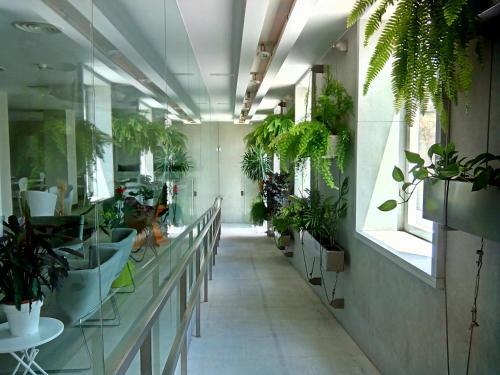 Hotel Bienestar Ceres