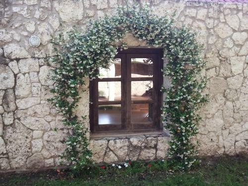 Lodge Terrazas Paran�