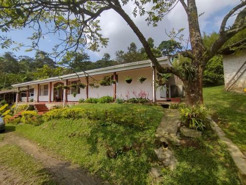 Finca Villa Rosa