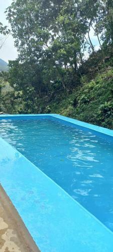 Gilu Caba�as Del Bosque