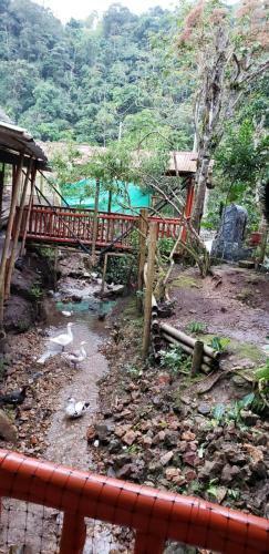 Bed & Breakfast Villa Ceci