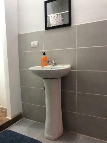 Peleg's Apartment