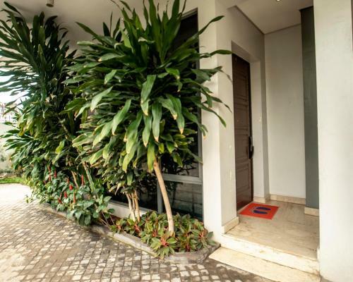 Apartamento Essential Bash Ltd