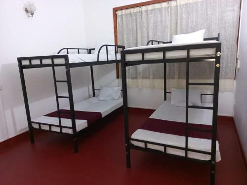 Albergue Lazy Bear Inn Kandy