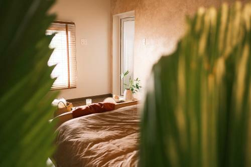 Apartamento Komorebi An S?n