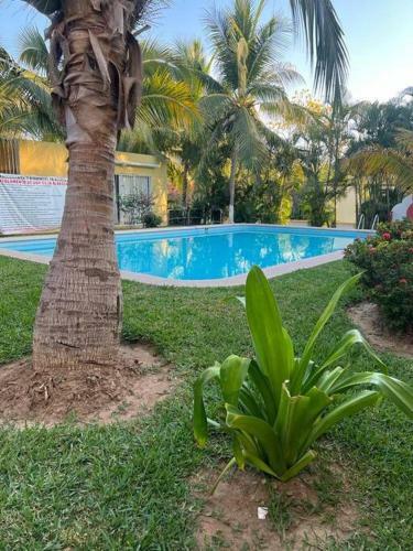 New Home Sol, Mar Y Arena Ixtapa.