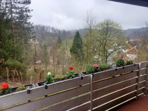 Apartamento Ferienwohnung Harzblick
