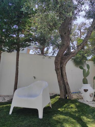 Hostal B&B Magnolia Bari