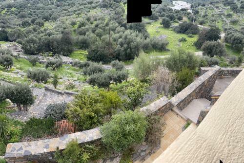Villa Oxia
