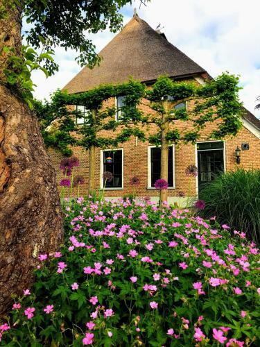 In De Tuin In Gees