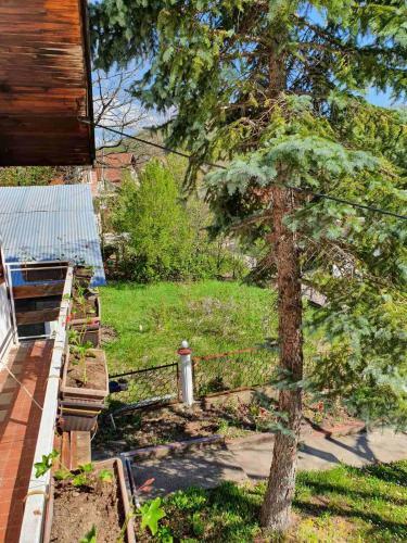 Hostal Nesovic