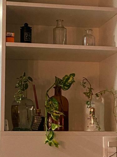 Apartamento Lindo E Aconchegante Apto - Centro de Canela
