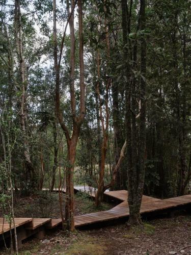 Lodge Caba�as For�neo