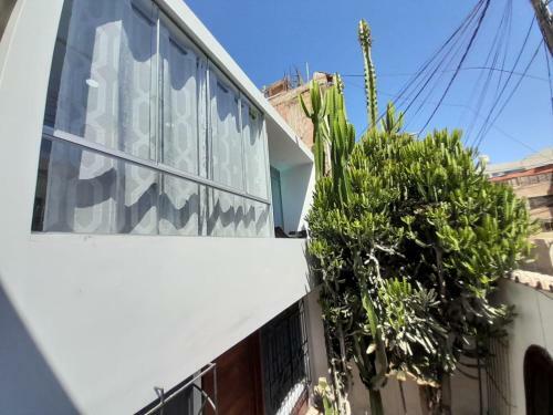 Casablanca Tacna