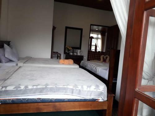 Hostal The New View