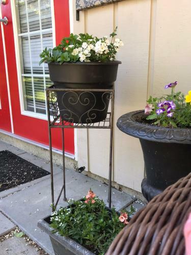 Naughty Gull Bed & Breakfast