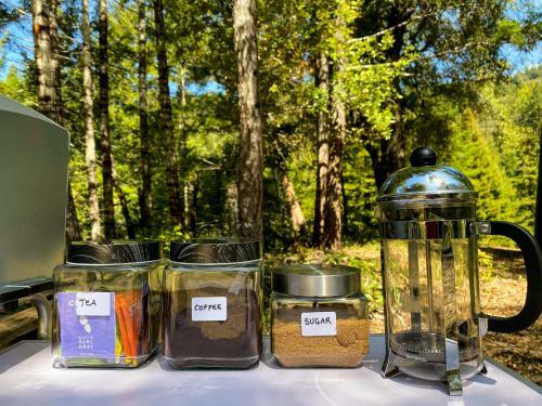 Glamping In The Redwoods