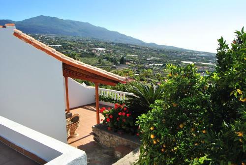 Apartamento Casitas Rosheli