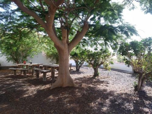 Apartamento Casitas Rosheli