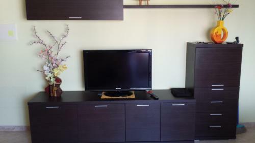 Apartamento Centro Benicarl�