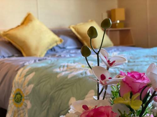 Cambrian Rio - Static Caravan