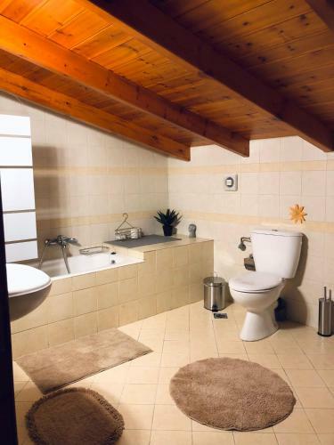 Apartamento Ozymandias Attic - Kalavrita