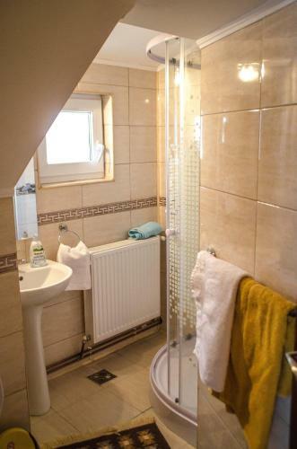 Hostal Pensiunea Poienita Ursului
