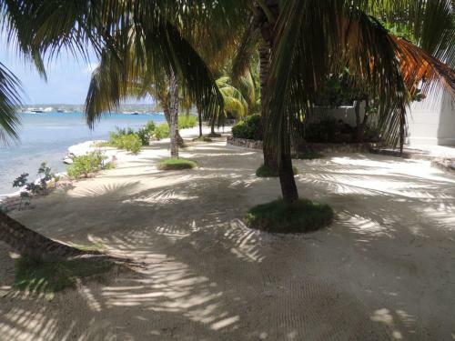 Apartamento En Torres Del Sun Rise San Andres Islas