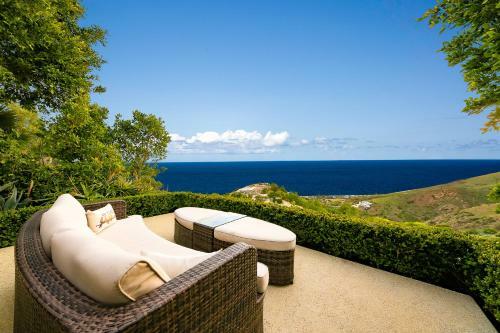 Dolphin View Vista