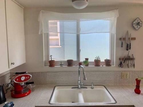 Apartamento Botanical Retreat With A Gorgeous Ocean View