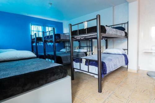 Hostal Petit Hostel