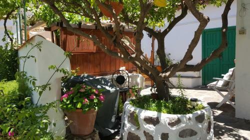 Hostal Casa Santana Segura